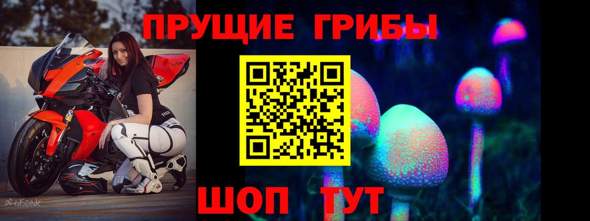 Псилоцибиновые грибы прущие грибы Бутурлиновка