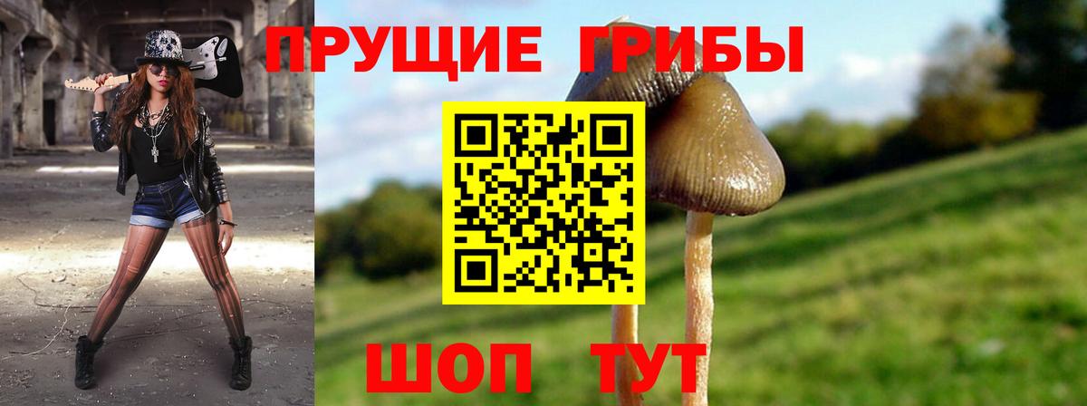 Бутурлиновка  Галлюциногенные грибы ЛСД  Вход с VPN 